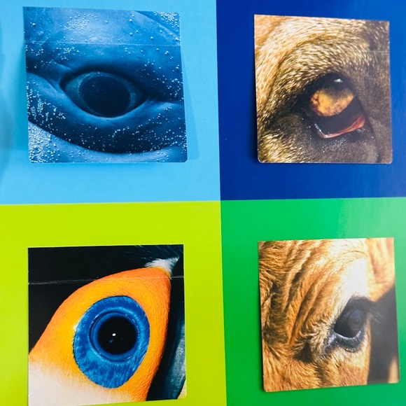 Who's Looking At You? Stephane Frattini Lift-the-Flap Picture Book - Picture 8 of 11